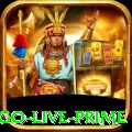 bbbbjogo - Live Prime