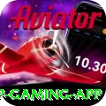 vtslots VIP Gaming App
